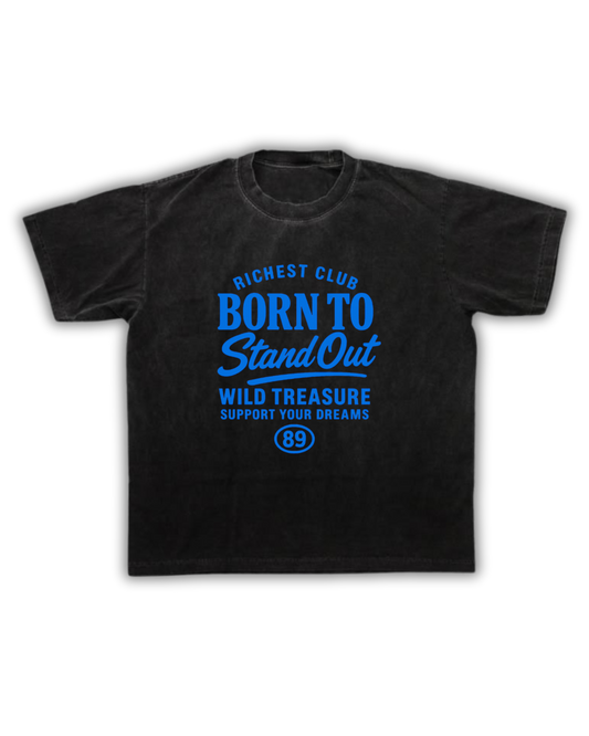 Born to Stand Out Graphic T-Shirt – Urban Streetwear Tee for Bold Personalities | Unisex Fit